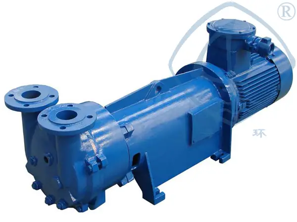 2BV水环式全量梯子加速器