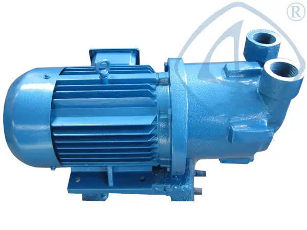 2BV水环式全量梯子加速器
